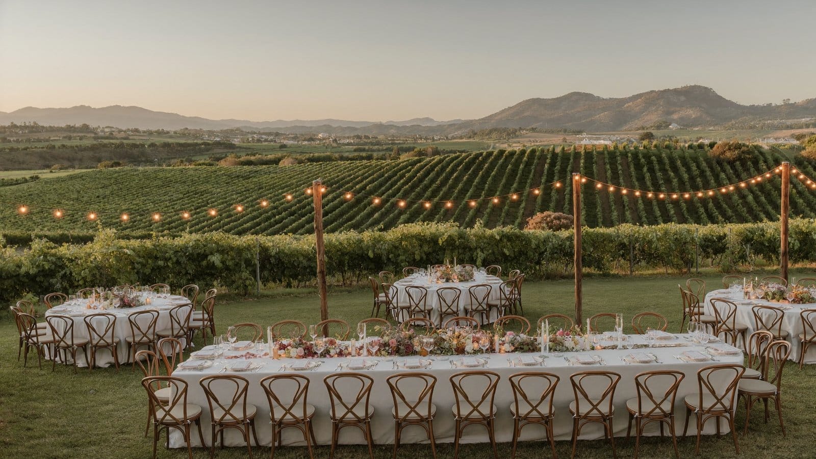 SF Bay Area vineyard wedding venue at golden hour