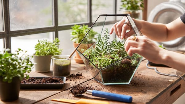 Building a glass terrarium at a SF Bay Area workshop